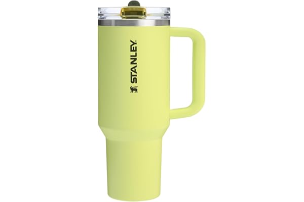 Deal Alert! Stanley Quencher ProTour: Your Summer Hydration Hero for Moms!
