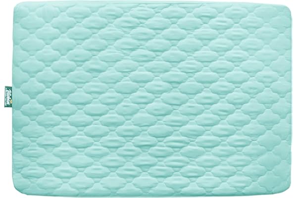 Budget Find You Need: Waterproof Sheet for Pack n Play Quilted, Playard Sheet Protector 39" X 27" fits for Baby Foldable and Playard Mattress, Portable Mini Crib, Aqua