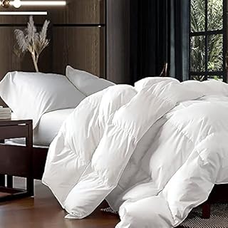 Hidden Gem Find: Luxurious Queen Size Goose Down Fiber Waterfowl Feather Fiber Comforter Duvet, 48 oz. Fill Weight, Baffle Box Design, White Solid