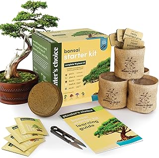 Deal Alert! Bonsai Starter Kit – The Perfect Easter & Mother's Day Gift for $19.99