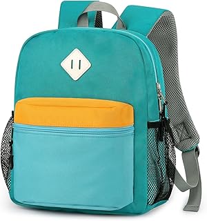 Toddler Backpack for Boys 2-4,Kindergarten Backpack for Boys,Preschool Backpack,Mini
