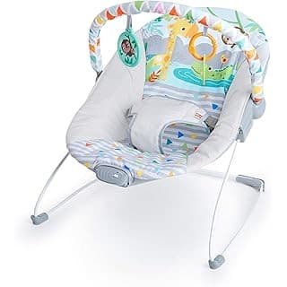 Best Amazon Buy Under: Bright Starts Baby Bouncer Soothing Vibrations Infant Seat - Removable -Toy Bar, Nonslip Feet, 0-6 Months Up to 20 lbs (Safari Fun)