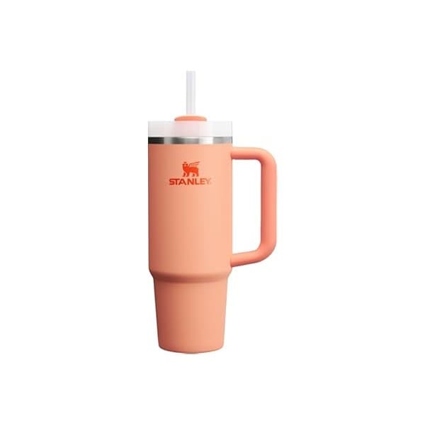 Stanley Quencher H2.0 Deal: Your Summer Hydration Essential for Moms!