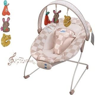 Deal Alert! This Baby Bouncer is a MUST-HAVE for New Moms & Newborns!