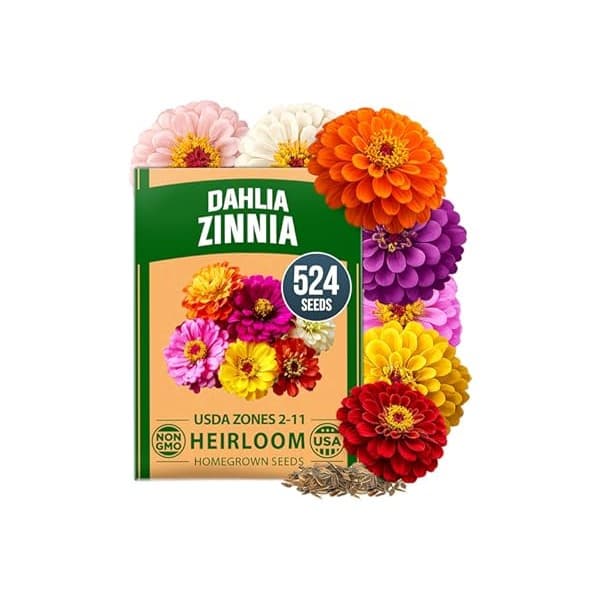 Deal Alert! Bloom Your Zen with Easy-Grow Zinnia Dahlia Seeds