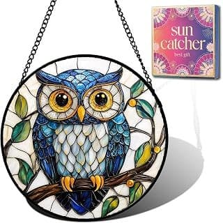 Hidden Gem Find: Owl Gifts for Mom - Blue Owl Faux Stained Glass Window Hanging Sun Catcher for Door Garden Acrylic Decor Mother's Day Christmas Birthday Gift for Bird Lovers Women Nana Men Grandma Wife Dad 6.3"