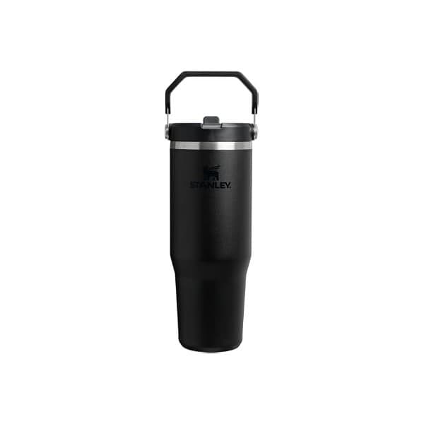 Hydration Hero for Moms! Stanley IceFlow Tumbler Deal Alert