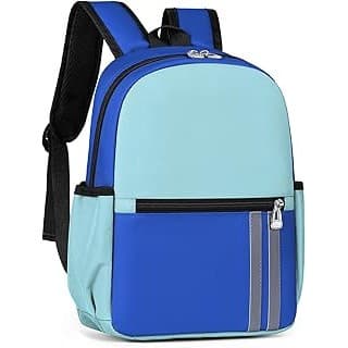 Hidden Gem Find: Kids Backpack for Boys Kindergarten School Backpack 14 inch Bookbag for Boys 4-8