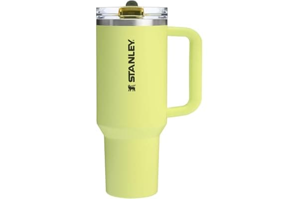 Deal Alert! Stanley Quencher ProTour: Your Summer Hydration Hero for Moms!