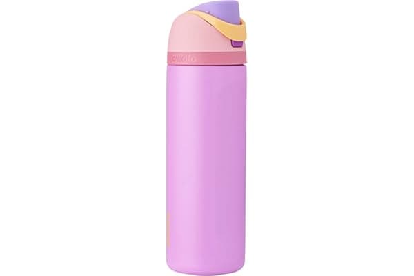 Owala Princess FreeSip Stainless Steel Water Bottle 24 oz Rapunzel