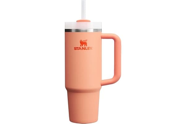 Stanley Quencher H2.0 Deal: Your Summer Hydration Essential for Moms!