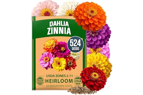 Deal Alert! Bloom Your Zen with Easy-Grow Zinnia Dahlia Seeds