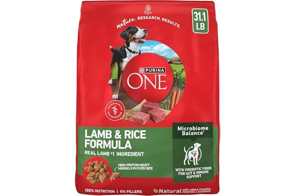 Purina ONE Lamb and Rice Formula Dry Dog Food for Digestive Support | Dog food with real lamb as first ingredient, Microbiome Balanced and prebiotic fiber, supports digestive health