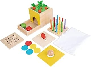 Object permanence, drop, carrot, coin - builds motor skills and hand-eye, durable, colorful self-play.