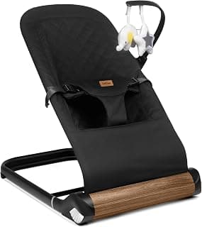 Baby Bouncer Chair - Comfortable Support for Your Little One's Blissful Moments (Normal, Black)