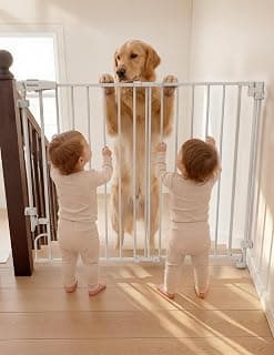 Hardware Mounted (Drill Needed)| Wide Walk-Thru| Auto-Close Safety Dog/Pet Gate for Stairs & Doorways
