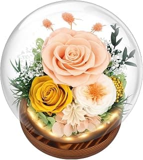 Preserved Flowers for Delivery Prime, Gifts for Mom Wife Grandma Girlfriend, Forever Flowers Gifts for Women, Real Eternal Rose for Birthday, Anniversary, Champagne