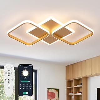 EIDISUNY Modern LED Ceiling Light, 30W Gold Square Ceiling Light Dimmable 3000K-6500K Flush Mount Ceiling Lamp with Remote & APP for Living Room Bedroom Kitchen Dining Room
