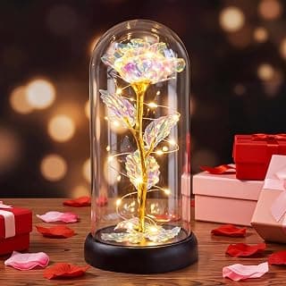Otlonpe Christmas Rose Flower Gifts for Women, Mom Gifts for Christmas Valentines Mothers Day Birthday, Preserved Forever Glass Roses Flowers Gifts for Grandma Girlfriend Wife Sister Her (Colorful)