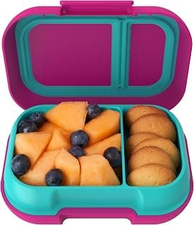 For Snacks & Small Meals, Easy-Open Latch, Dishwasher Safe, BPA-Free for School, Daycare, & Sports, Ages 3+ (Fuchsia/Teal)