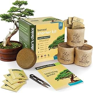 Deal Alert! Bonsai Starter Kit – The Perfect Easter & Mother's Day Gift for $19.99