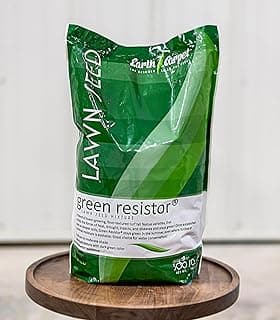 Green Resistor Tall Fescue Grass Seed Blend – Cool Season Lawn & Turf Seed (5 lb)