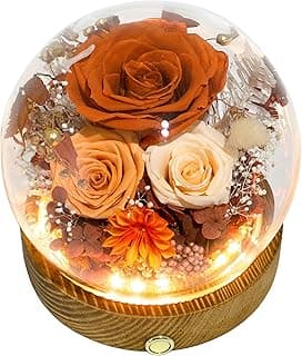 Hidden Gem Find: Valley of Rain & Forest Long-Lasting Real Flowers, Unique Floral Gift For You to Send Love for All Occasions, for Indoor Decoration (Orange Rose & Champagne Rose - Fall Themed)